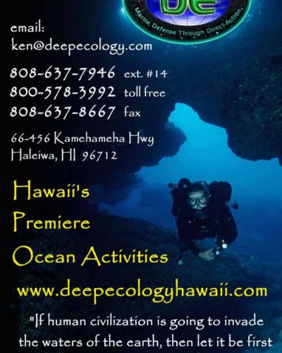 2000-2004 Expand Business | Becomes Deeep Ecology Hawaii