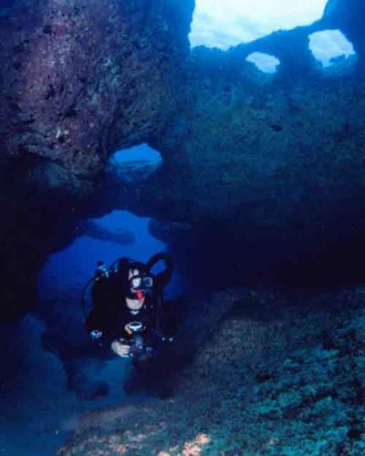 Ken Teach Wyland Rebreather-Dive